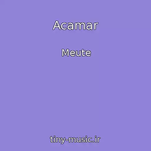 کاور آهنگ Acamar از Meute