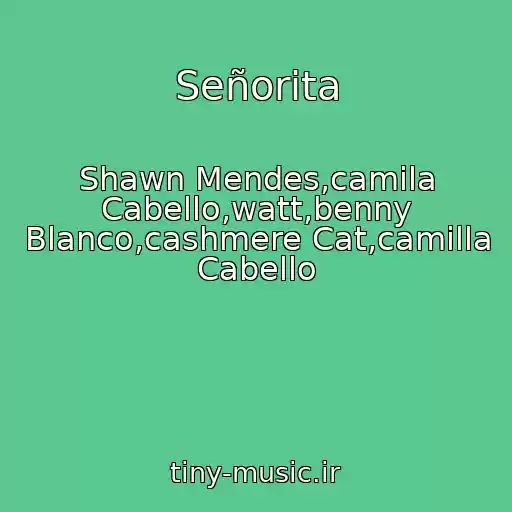 کاور آهنگ Señorita از Shawn Mendes,camila Cabello,watt,benny Blanco,cashmere Cat,camilla Cabello