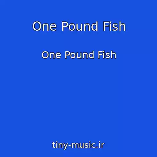 کاور آهنگ One Pound Fish از One Pound Fish