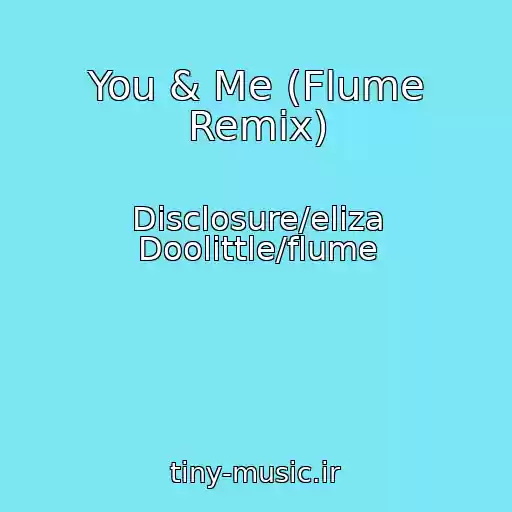 کاور آهنگ You & Me (Flume Remix) از Disclosure/eliza Doolittle/flume
