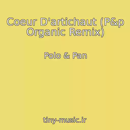 کاور آهنگ Coeur D'artichaut (P&p Organic Remix) از Polo & Pan