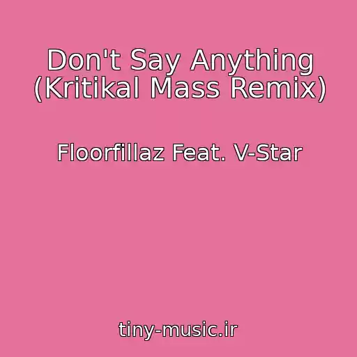 کاور آهنگ Don't Say Anything (Kritikal Mass Remix) از Floorfillaz Feat. V-Star