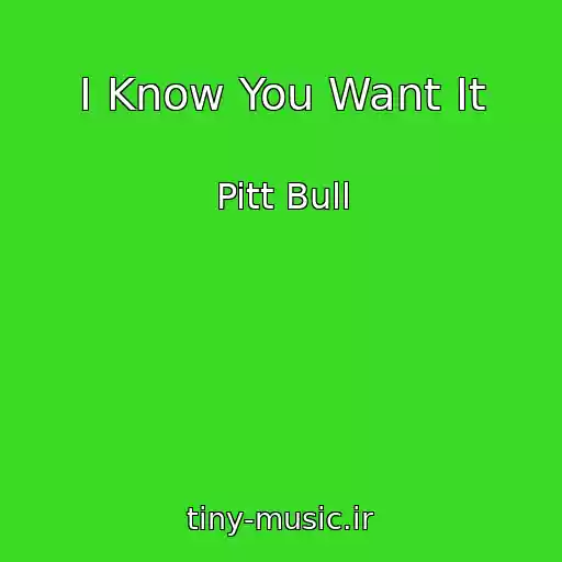 کاور آهنگ I Know You Want It از Pitt Bull