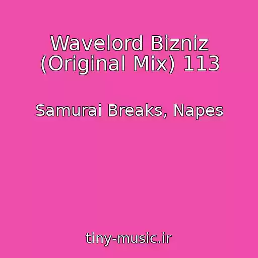 کاور آهنگ Wavelord Bizniz (Original Mix) 113 از Samurai Breaks, Napes