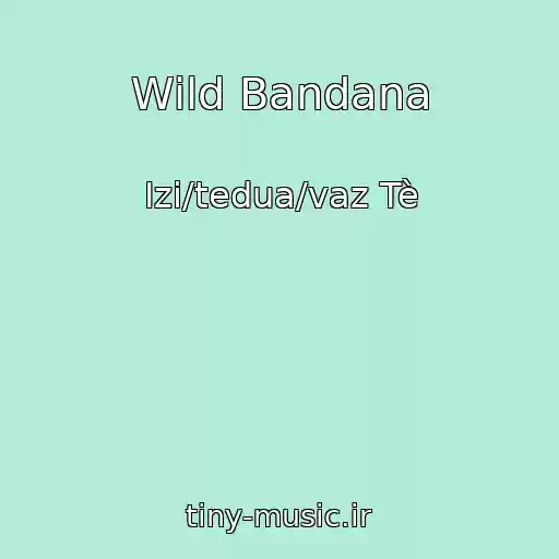 کاور آهنگ Wild Bandana از Izi/tedua/vaz Tè