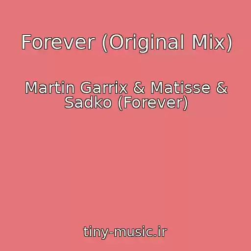کاور آهنگ Forever (Original Mix) از Martin Garrix & Matisse & Sadko (Forever)