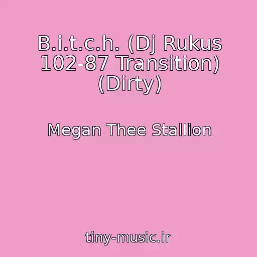 کاور آهنگ B.i.t.c.h. (Dj Rukus 102-87 Transition) (Dirty) از Megan Thee Stallion