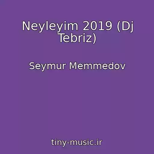 کاور آهنگ Neyleyim 2019 (Dj Tebriz) از Seymur Memmedov
