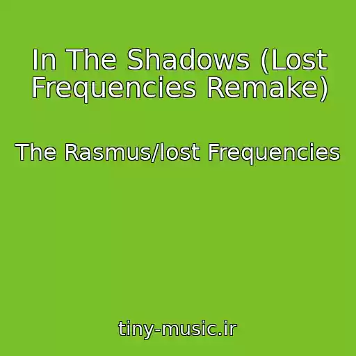 کاور آهنگ In The Shadows (Lost Frequencies Remake) از The Rasmus/lost Frequencies