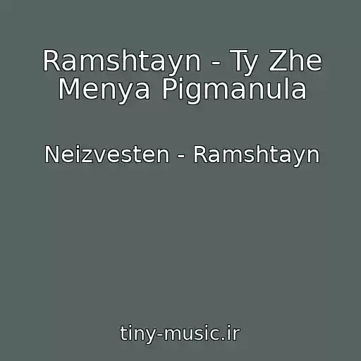 کاور آهنگ Ramshtayn - Ty Zhe Menya Pigmanula از Neizvesten - Ramshtayn