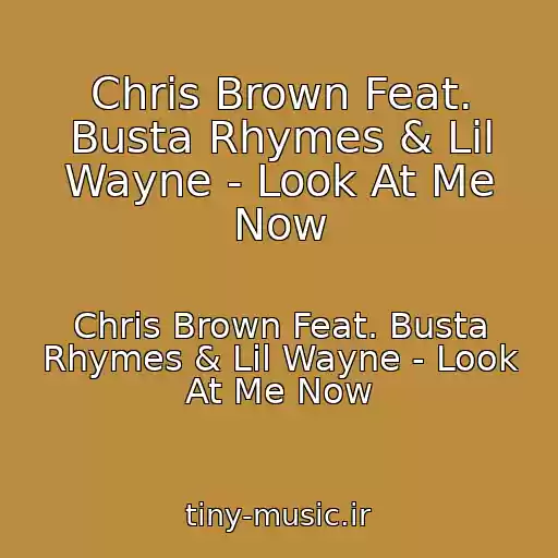 کاور آهنگ Chris Brown Feat. Busta Rhymes & Lil Wayne - Look At Me Now از Chris Brown Feat. Busta Rhymes & Lil Wayne - Look At Me Now