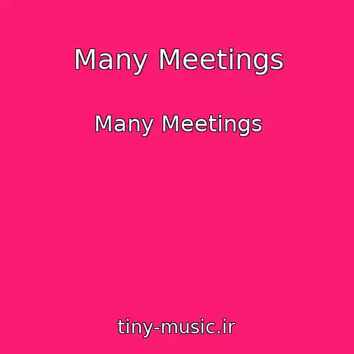 کاور آهنگ Many Meetings از Many Meetings