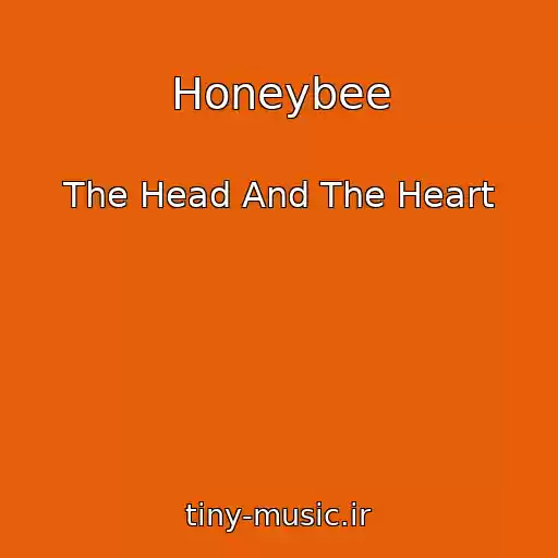 کاور آهنگ Honeybee از The Head And The Heart