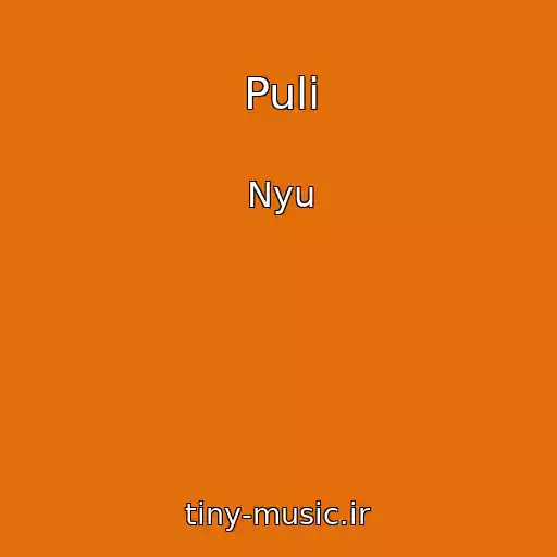 کاور آهنگ Puli از Nyu