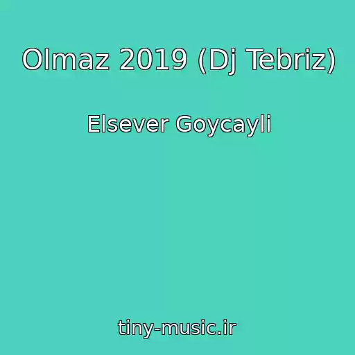 کاور آهنگ Olmaz 2019 (Dj Tebriz) از Elsever Goycayli