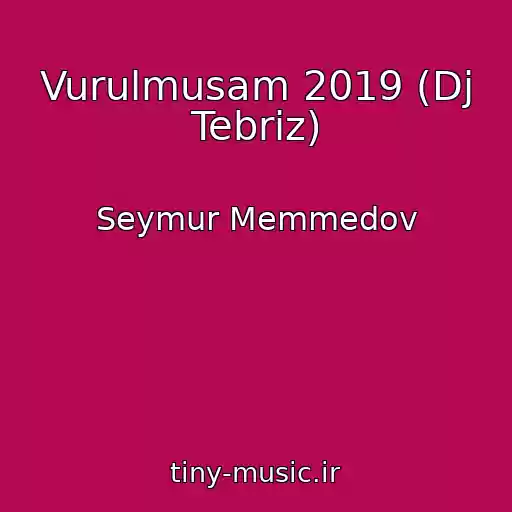 کاور آهنگ Vurulmusam 2019 (Dj Tebriz) از Seymur Memmedov
