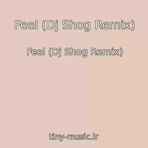 کاور آهنگ Feel (Dj Shog Remix) از Feel (Dj Shog Remix)