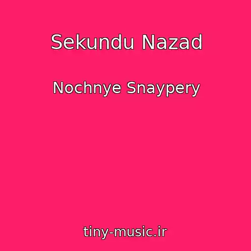 کاور آهنگ Sekundu Nazad از Nochnye Snaypery