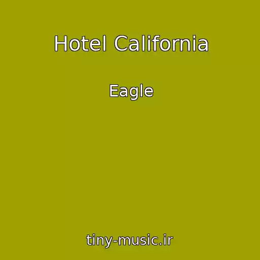 کاور آهنگ Hotel California از Eagle