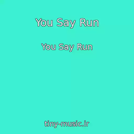 کاور آهنگ You Say Run از You Say Run