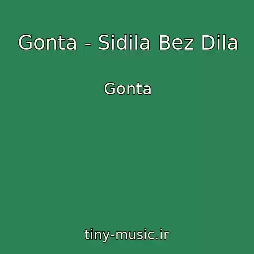 کاور آهنگ Gonta - Sidіla Bez Dіla از Gonta