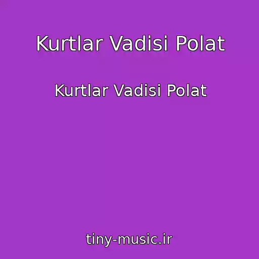 کاور آهنگ Kurtlar Vadisi Polat از Kurtlar Vadisi Polat