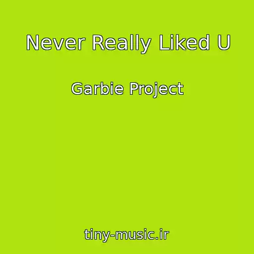 کاور آهنگ Never Really Liked U از Garbie Project