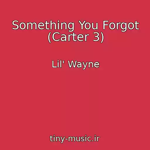 کاور آهنگ Something You Forgot (Carter 3) از Lil' Wayne
