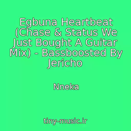 کاور آهنگ Egbuna Heartbeat (Chase & Status We Just Bought A Guitar Mix) - Bassboosted By Jericho از Nneka
