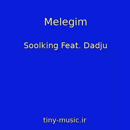 کاور آهنگ Melegim از Soolking Feat. Dadju
