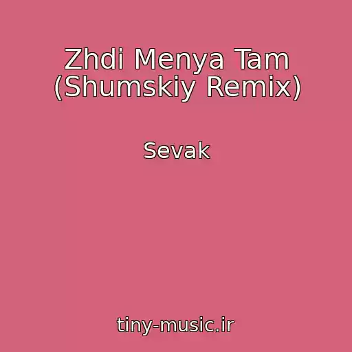 کاور آهنگ Zhdi Menya Tam (Shumskiy Remix) از Sevak