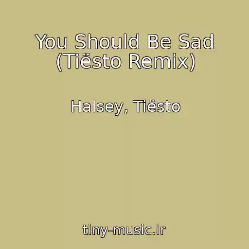 کاور آهنگ You Should Be Sad (Tiësto Remix) از Halsey, Tiësto