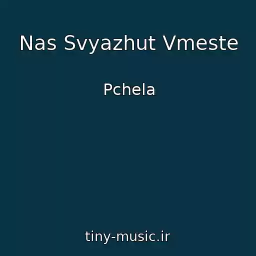 کاور آهنگ Nas Svyazhut Vmeste از Pchela