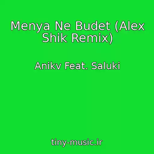 کاور آهنگ Menya Ne Budet (Alex Shik Remix) از Anikv Feat. Saluki