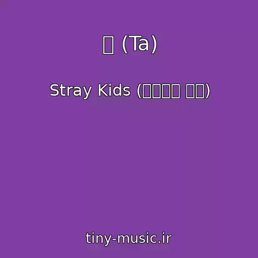 کاور آهنگ 타 (Ta) از Stray Kids (스트레이 키즈)