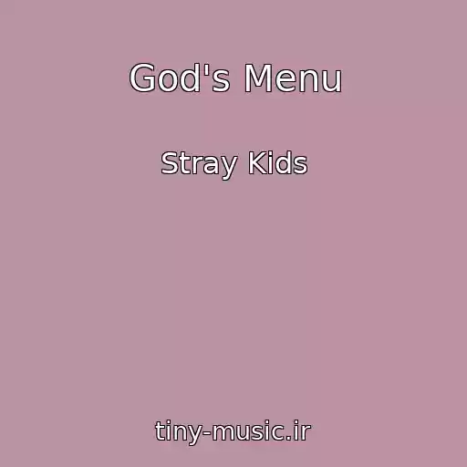 کاور آهنگ God's Menu از Stray Kids