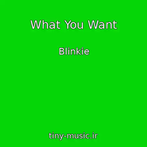 کاور آهنگ What You Want از Blinkie
