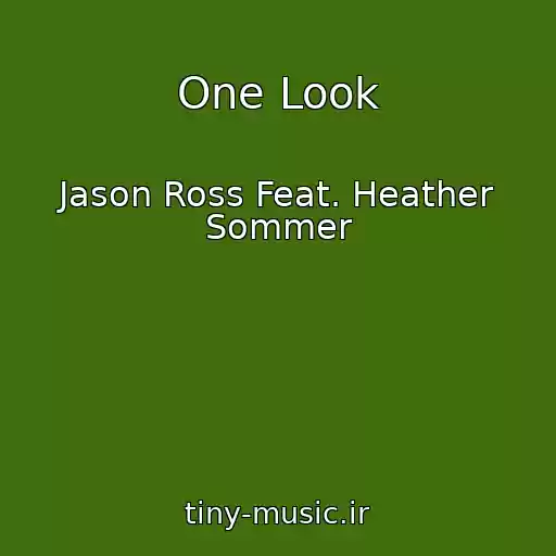 کاور آهنگ One Look از Jason Ross Feat. Heather Sommer