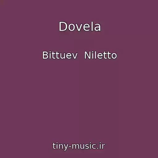 کاور آهنگ Dovela از Bittuev  Niletto