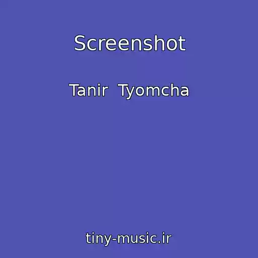 کاور آهنگ Screenshot از Tanir  Tyomcha