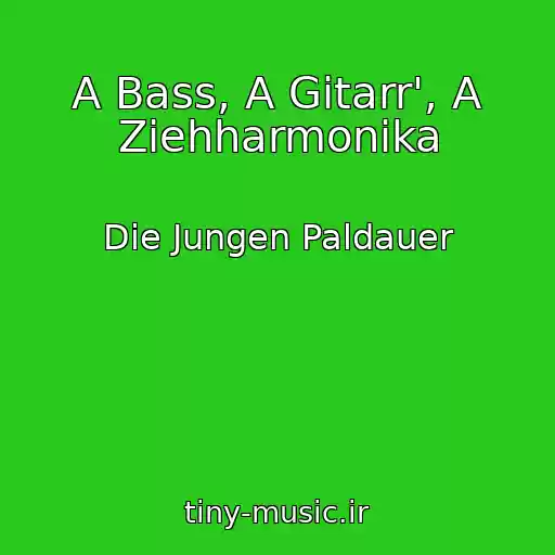 کاور آهنگ A Bass, A Gitarr', A Ziehharmonika از Die Jungen Paldauer