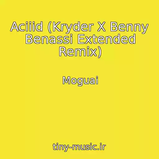 کاور آهنگ Aciiid (Kryder X Benny Benassi Extended Remix) از Moguai