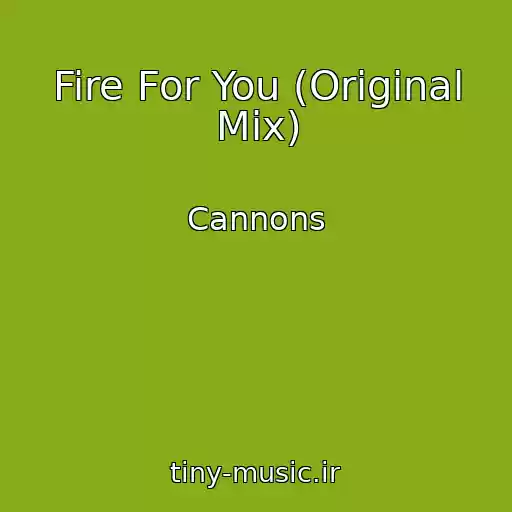 کاور آهنگ Fire For You (Original Mix) از Cannons