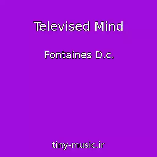 کاور آهنگ Televised Mind از Fontaines D.c.