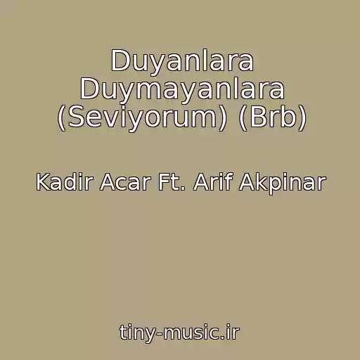 کاور آهنگ Duyanlara Duymayanlara (Seviyorum) (Brb) از Kadir Acar Ft. Arif Akpinar