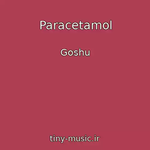 کاور آهنگ Paracetamol از Goshu