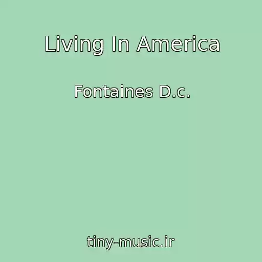 کاور آهنگ Living In America از Fontaines D.c.