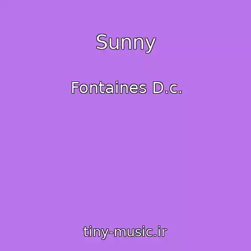 کاور آهنگ Sunny از Fontaines D.c.