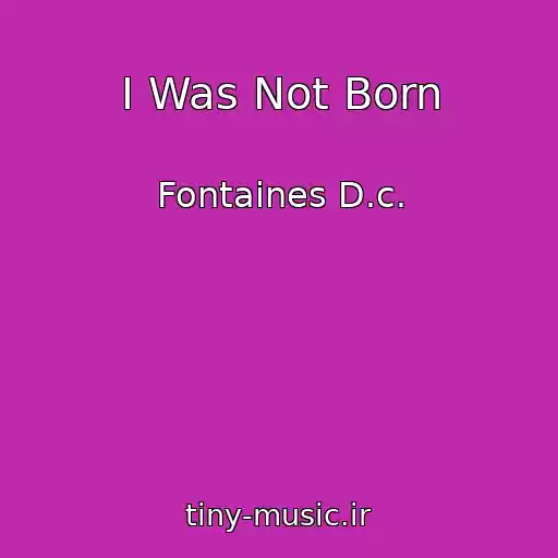 کاور آهنگ I Was Not Born از Fontaines D.c.