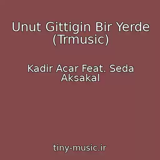 کاور آهنگ Unut Gittigin Bir Yerde (Trmusic) از Kadir Acar Feat. Seda Aksakal